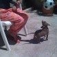 aki con casi dos meses saltando para cojer la pelota